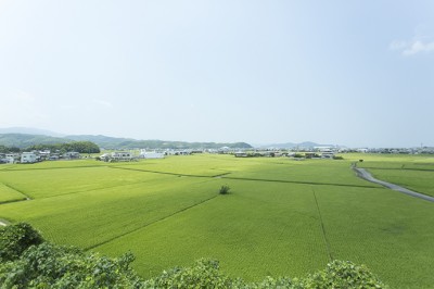 羽ノ浦ロイヤルパーク