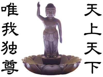 天上天下唯我独尊